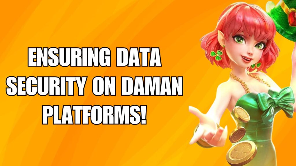 Ensuring Data Security on Daman Platforms